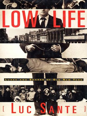cover image of Low Life